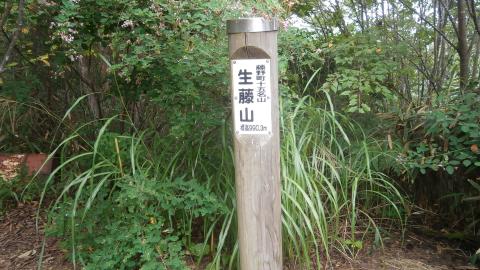 ２０キロ地点の生藤山　まだ９９０m・・。頻繁なアップダウンと展望の全く利かない尾根　ムシムシした陽気　そして眠気（一眠り）・・この時点で三頭山まで行くのは諦める。