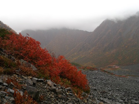 涸沢まで降りると鮮やかな紅葉が