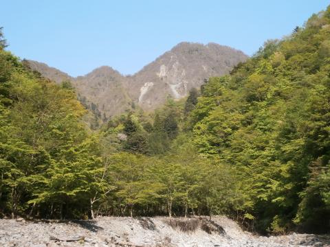 無事ゴーラ沢　出会いに到着　緑がまぶしい