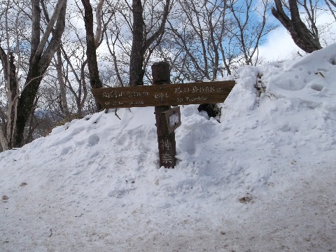 大倉尾根上部　標高1400m付近　鍋割山との分岐点　先月の大雪から１ヶ月経っているのに・・