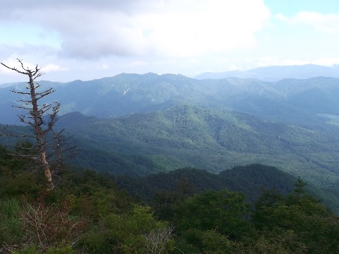 来し方を振り返る。それにしても暑かった〜水も途中でなくなり、下山後に飲んだコーラが激ウマ