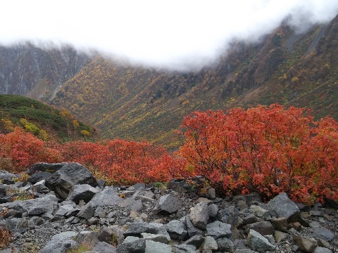 盛りを過ぎたとはいえ、至る所鮮やかな紅葉が