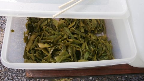 エイドステーションでは三陸名物の茎わかめも