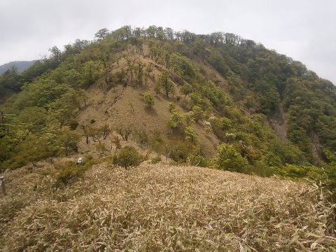 丹沢山に向かう途中　ガスが晴れる