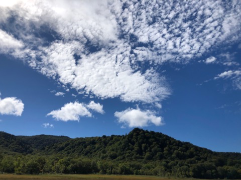 綺麗な秋空