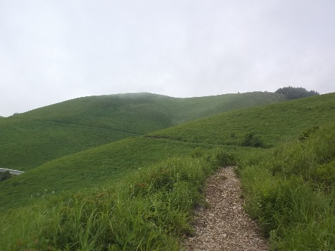 白樺湖から車山に向かう快適なトレイル