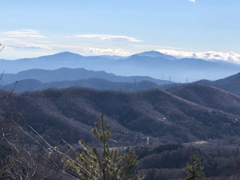 はるかに箱根の山々ものぞめる