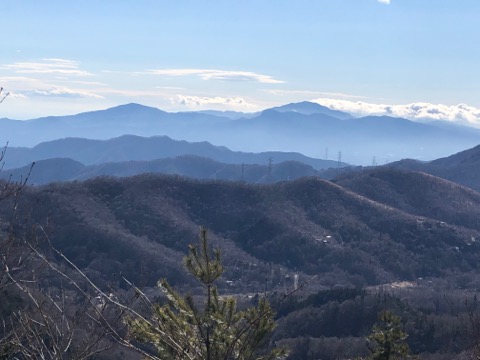 はるかに箱根の山々ものぞめる