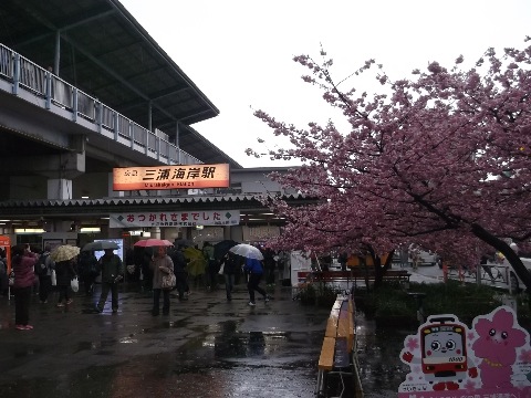 雨の三浦海岸駅前　居酒屋が軒を連ねお祭り気分　多くのランナー達が打ち上げで盛り上がっている。しかし今日はビールさえも受け付けずそそくさと帰途につく