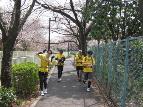 神田川沿いをゆるゆると