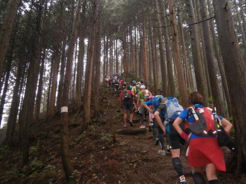 こんな急登、急降下が前半これでもかというくらいに繰り返される。
入山峠まではこんな感じの渋滞が続く。