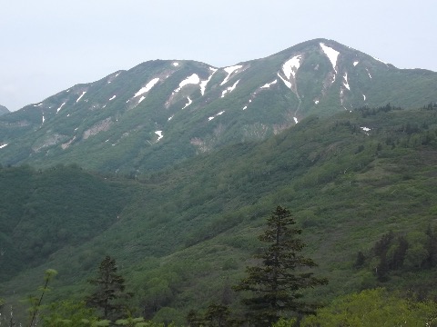 標高２１００m付近　火打山が