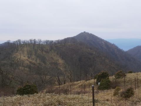 丹沢山を越え、塔ノ岳　だいぶ近くなってきた。苦しい～！