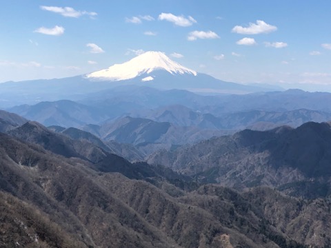 富士と桜　この時期の楽しみ