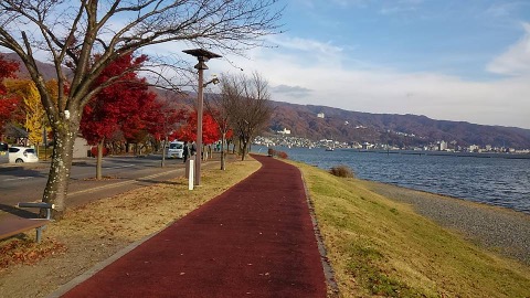 稀に見る素晴らしいジョギングロード