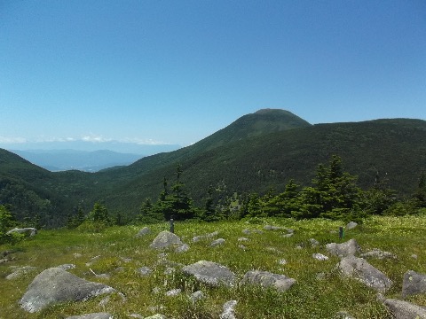 双子山から蓼科山を振り返る