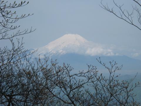 山頂付近より