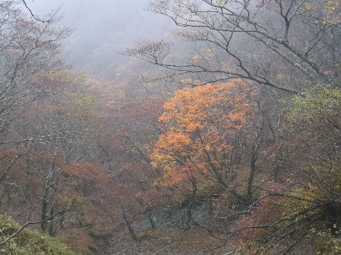 ちょっとだけ紅葉