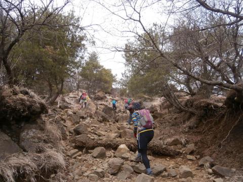 上りに強いMORIさん　大倉尾根の急登をものとせず　グイグイ登る