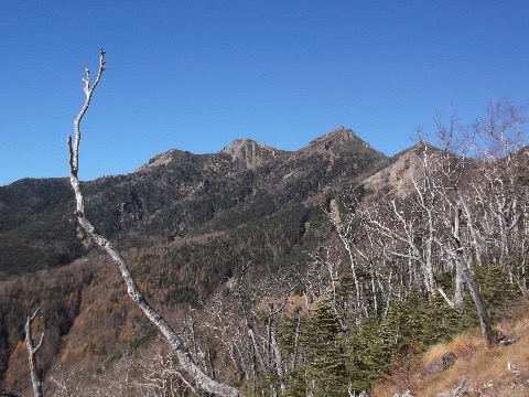 権現岳を振り返る