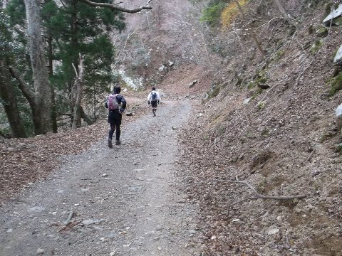 １２キロ地点の八瀬峠を超えると
の本杉峠までの２０キロはひたすら林道のアップダウン
後半のアップダウンに備えて我慢のしどころだ