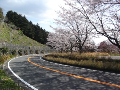 足柄街道を登る