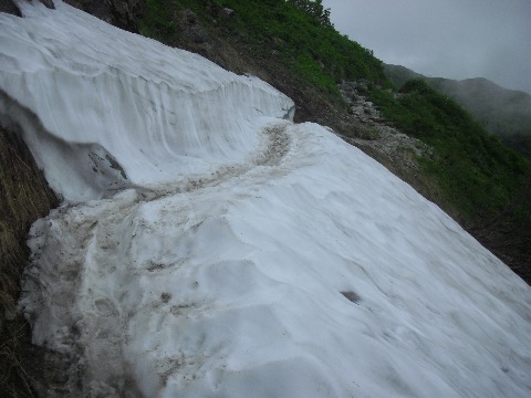 稜線近くにも大きな雪渓が