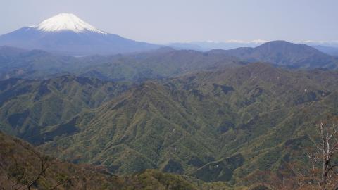 檜洞丸　山頂手前より　奥には南アルプスの峰々が