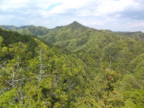 一枚岩からの絶景