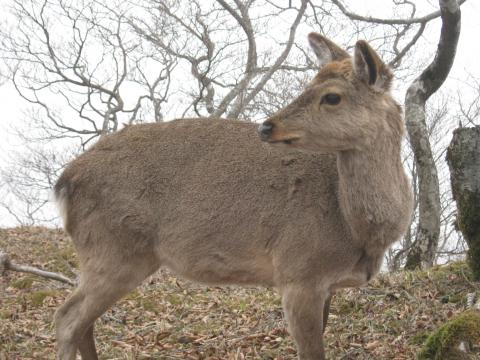 カメラを向けても、そっぽ向いてしまう。
「アホナ人間どもの相手なんかしていられないわ」