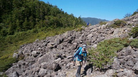 仙水峠付近を行く