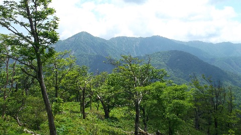 檜洞丸より蛭ヶ岳とこれからたどる稜線