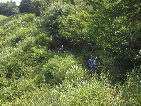 石割山を下る