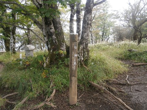 １６時３０分　最後の標高差300mのゲキ坂を登り檜洞丸到着　あとは標高差1000mの急降下