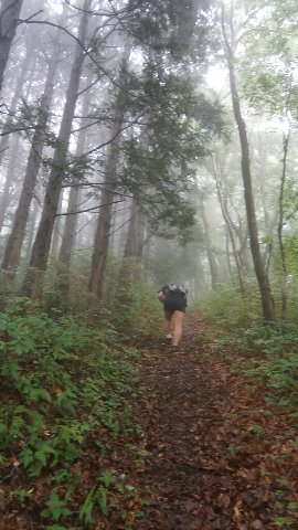 硯上山への上り５００mほどの高さだが海抜ゼロからの上りだから結構きつい　でもトレイルはフカフカで気持ち良い