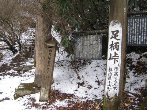 季節はずれの雪。気温はおそらく１～２℃くらいだろう