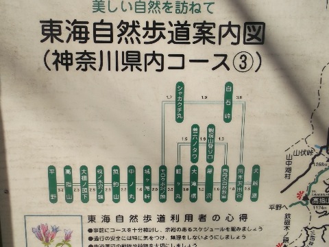 このコース西丹沢につながっているのか　今度辿ってみよう