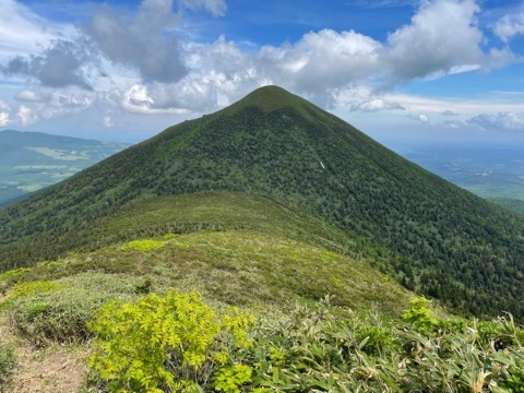 高田大岳