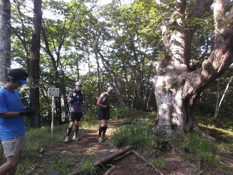 本日の最高峰　鹿留山