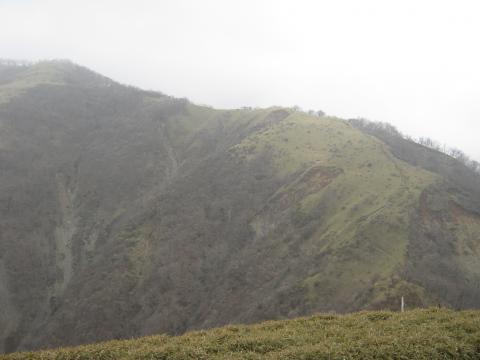 丹沢山（1567m）を超え、遥かに行く先を望む
あれ登るの～！