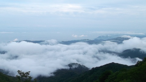 西伊豆方面の雲海　梅雨時ならでは光景