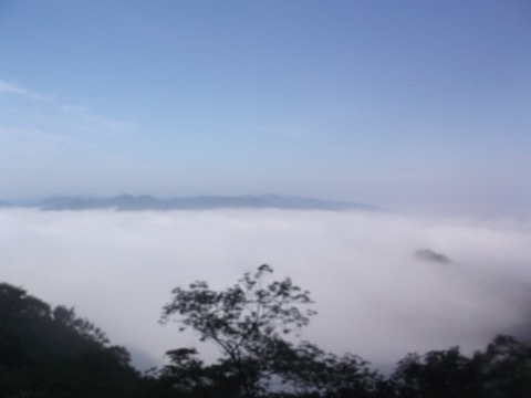 月居山を越えると、なんと雲海が