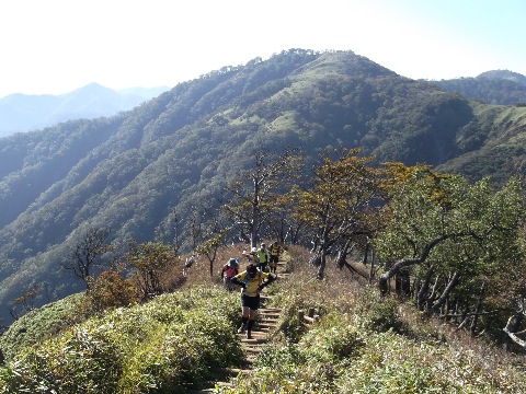 塔ノ岳への最後の登り、きつ〜い