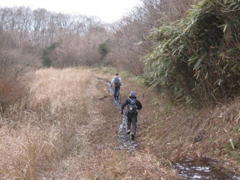 こら～！
俺に断りもなしに　
後を追いかける気まぐれさん