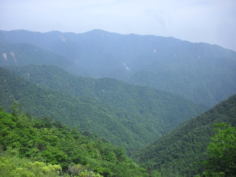 同角の頭付近からこれから辿る塔ノ岳方面。遠いいな〜