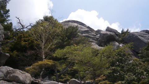 大日岩