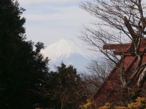 振り向けば富士