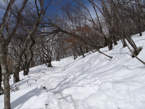 塔ノ岳山頂直下　ふかふかの雪