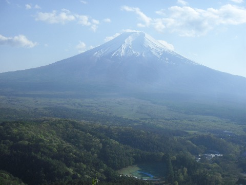 忍草山からの富士