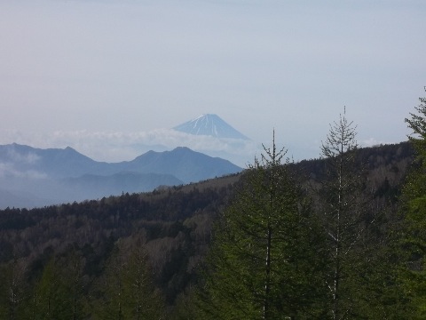 最高地点からの富士